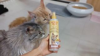시묘님이 올린 리뷰 사진 1
