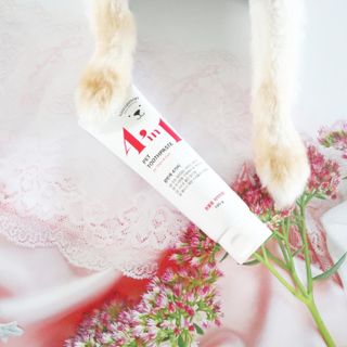 꿀냥이님이 올린 리뷰 사진 2