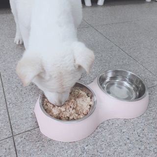 다둥맘님이 올린 리뷰 사진 3