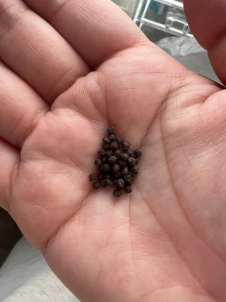 둠둠힝님이 올린 리뷰 사진 3