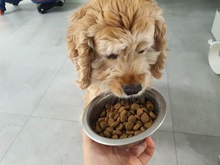 찬이애비님이 올린 리뷰 사진 2