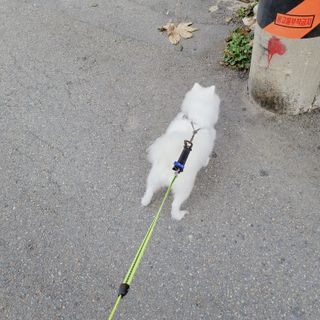 꼬마나두님이 올린 리뷰 사진 4