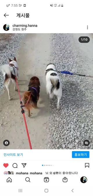 루비셀러님이 올린 리뷰 사진 1
