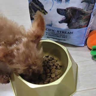 왕좌늼님이 올린 리뷰 사진 1