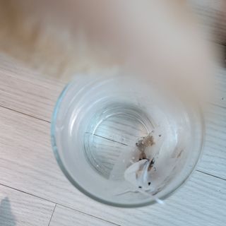 이째님이 올린 리뷰 사진 2