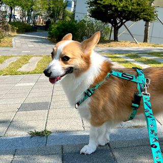 럽쏘이님이 올린 리뷰 사진 1