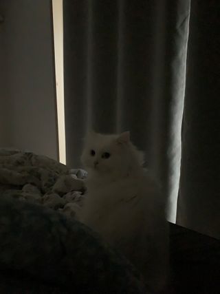 례진님이 올린 리뷰 사진 2