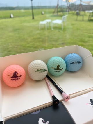 더위치골프(thewitchgolf) 프리미엄 골프 공 더위치골프 매트 펄 컬러의 3피스볼 더위치골프 골프볼 선물세트 — 5점을 준 리뷰어가 2023년 9월 올린 사용 사진