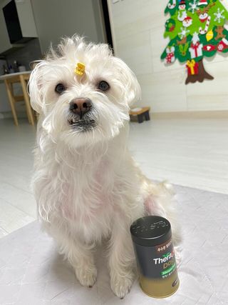 혬공주님이 올린 리뷰 사진 2