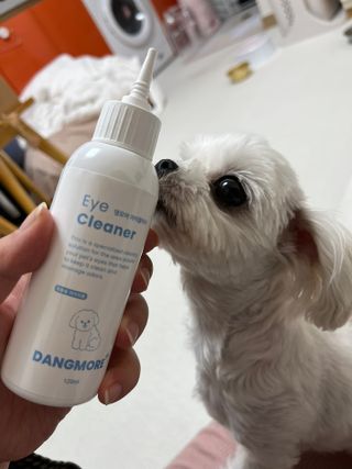 [댕모어 클리너 3종] 아이클리너 / 이어클리너 / 덴탈클리너 3종 세트 (120ml) — 5점을 준 리뷰어가 2023년 10월 올린 사용 사진