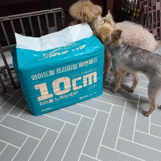 아베크 펫 와이드 프리미엄 대형 애견 강아지 배변 패드 30매 1팩 80g — 5점을 준 리뷰어가 2021년 7월 올린 사용 사진