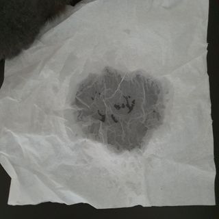 셀바이져 지우개 미스트 피부 보호 입주변 트러블 진정 케어 아기 안개분사 미스트 — 5점을 준 리뷰어가 2021년 3월 올린 사용 사진