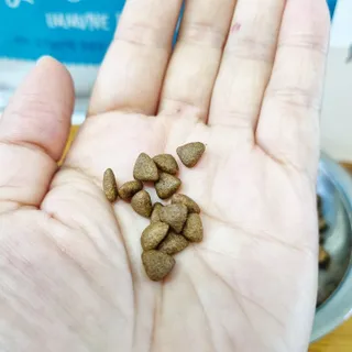 빵갱님이 올린 리뷰 사진 4