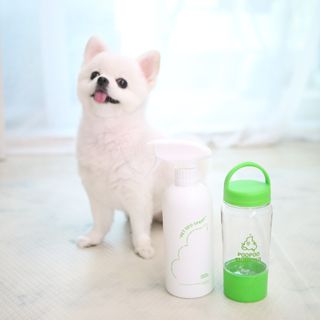 털털미녀님이 올린 리뷰 사진 1