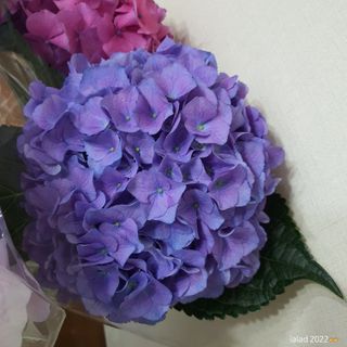 릴리랄라님이 올린 리뷰 사진 3