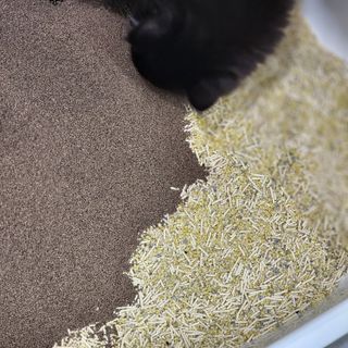 뾰로님이 올린 리뷰 사진 2