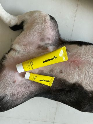 또용님이 올린 리뷰 사진 4