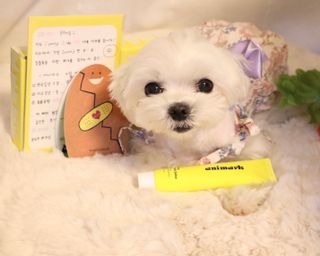 구니구니구니님이 올린 리뷰 사진 2