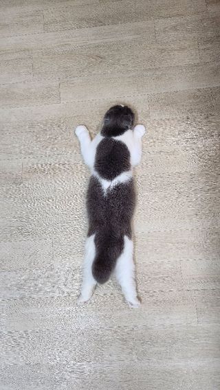 날씬이클디님이 올린 리뷰 사진 1