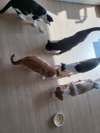 오둥이맘님이 올린 리뷰 사진 1