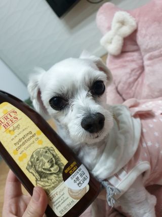 psj6667님이 올린 리뷰 사진 1