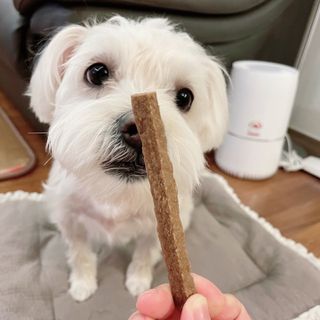 혬공주님이 올린 리뷰 사진 1