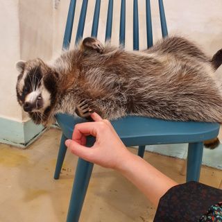 lesia님이 올린 리뷰 사진 1