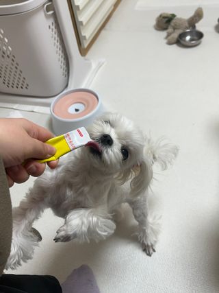 린짱님이 올린 리뷰 사진 3
