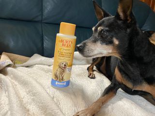 키메진님이 올린 리뷰 사진 2