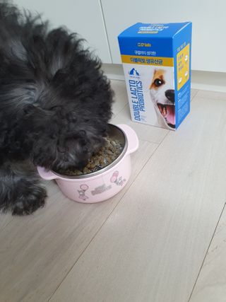 씨디랩 장 건강과 구강 건강을 한 번에 더블락토 강아지 고양이 유산균 — 4점을 준 리뷰어가 2021년 1월 올린 사용 사진
