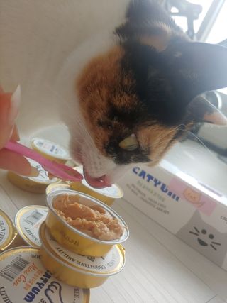 홍제이님이 올린 리뷰 사진 1