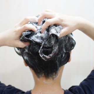 닥터시드 티트리 앤 라임 비건 지성케어 쿨 탈모 두피 워터 스케일러 — 5점을 준 리뷰어가 2024년 5월 올린 사용 사진