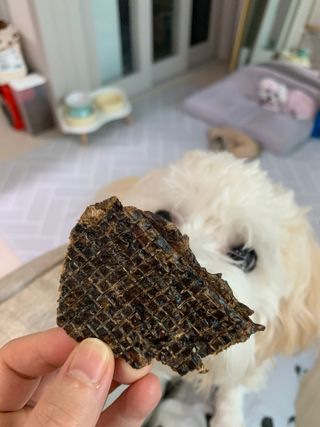 댑빵이님이 올린 리뷰 사진 4