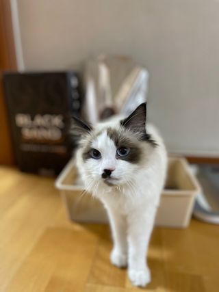 그레이스라님이 올린 리뷰 사진 2