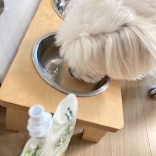 뜡스리뷰님이 올린 리뷰 사진 3