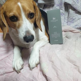 마리앤루이펫샴푸 [mari and louie pet shampoo] — 5점을 준 리뷰어가 2021년 5월 올린 사용 사진