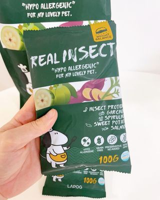 [푸디웜] 라포그  리얼인섹트 웨이트밸런스 저알러지 강아지 사료  1.2KG — 5점을 준 리뷰어가 2022년 7월 올린 사용 사진