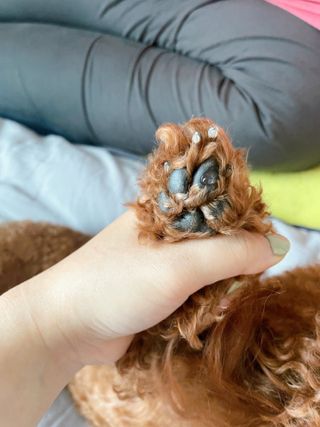 다요미님이 올린 리뷰 사진 3