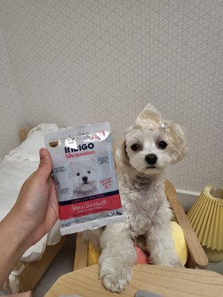 안혜리님이 올린 리뷰 사진 1