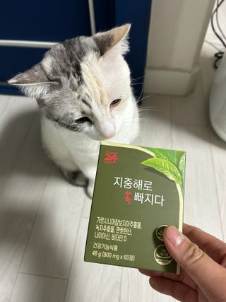 클린24시간 지중해로 쏙빠지다 1SET (800mg*60정) — 5점을 준 리뷰어가 2023년 1월 올린 사용 사진