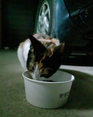 피츄카님이 올린 리뷰 사진 4