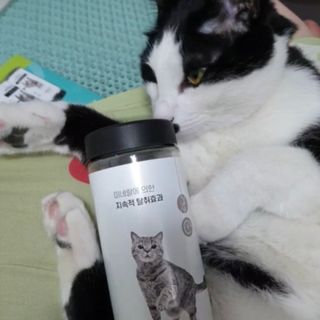 묨묨님이 올린 리뷰 사진 4