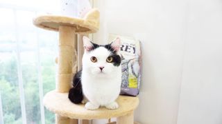 아들셋왕비님이 올린 리뷰 사진 3