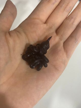 이붕선생님이 올린 리뷰 사진 4