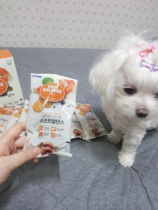두부님이 올린 리뷰 사진 3