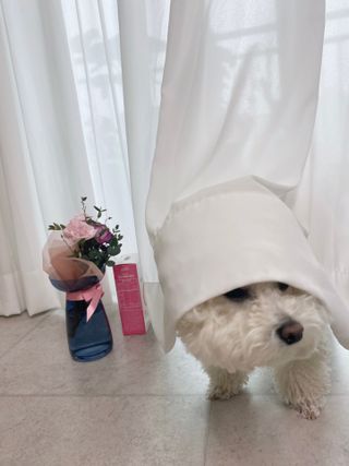 JENNY님이 올린 리뷰 사진 4