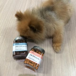 페페로니 진짜 오메가3 연어+소고기 180g+180g — 4.5점을 준 리뷰어가 2021년 7월 올린 사용 사진