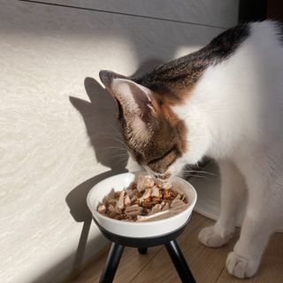 서현님이 올린 리뷰 사진 3
