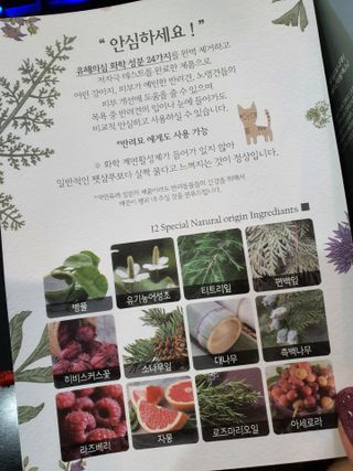 마리앤루이펫샴푸 [mari and louie pet shampoo] — 5점을 준 리뷰어가 2021년 5월 올린 사용 사진