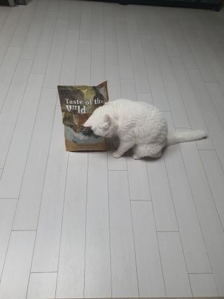 파비올라님이 올린 리뷰 사진 4